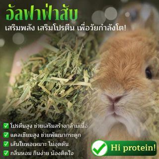 อัลฟาฟ่า แบบสับ แบบเส้น 1KG by king Rabbit