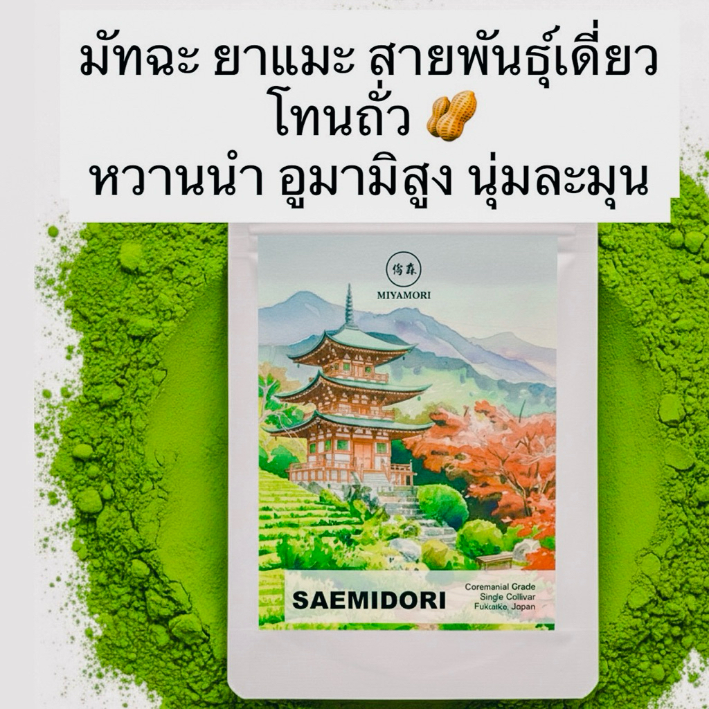 SAEMIDORI Single Cultivar (MIYAMORI) มัทฉะ ยาเมะ สายพันธุ์เดี่ยว โทนถั่วYame Matcha Ceremonial Grade มัทฉะเกรดพิธีการ