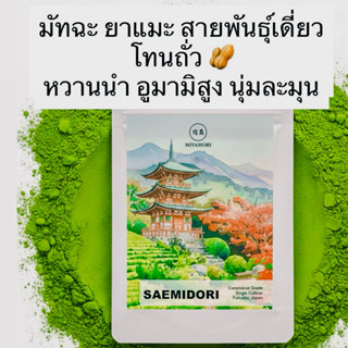 SAEMIDORI Single Cultivar (MIYAMORI) มัทฉะ ยาเมะ สายพันธุ์เด…