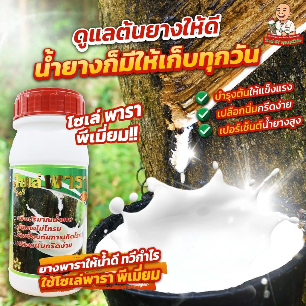 โซเล่พารา พรีเมียม ยาทาหน้ายาง สูตรพิเศษ!! ฝาแดง เปลือกนิ่ม กรีดง่าย เพิ่มปริมาณน้ำยาง ป้องกันการเกิดโรค ขนาด 500มล. ราคา ถูกที่สุด ดีลบีเคเค แกลเลอรีภาพที่ 2