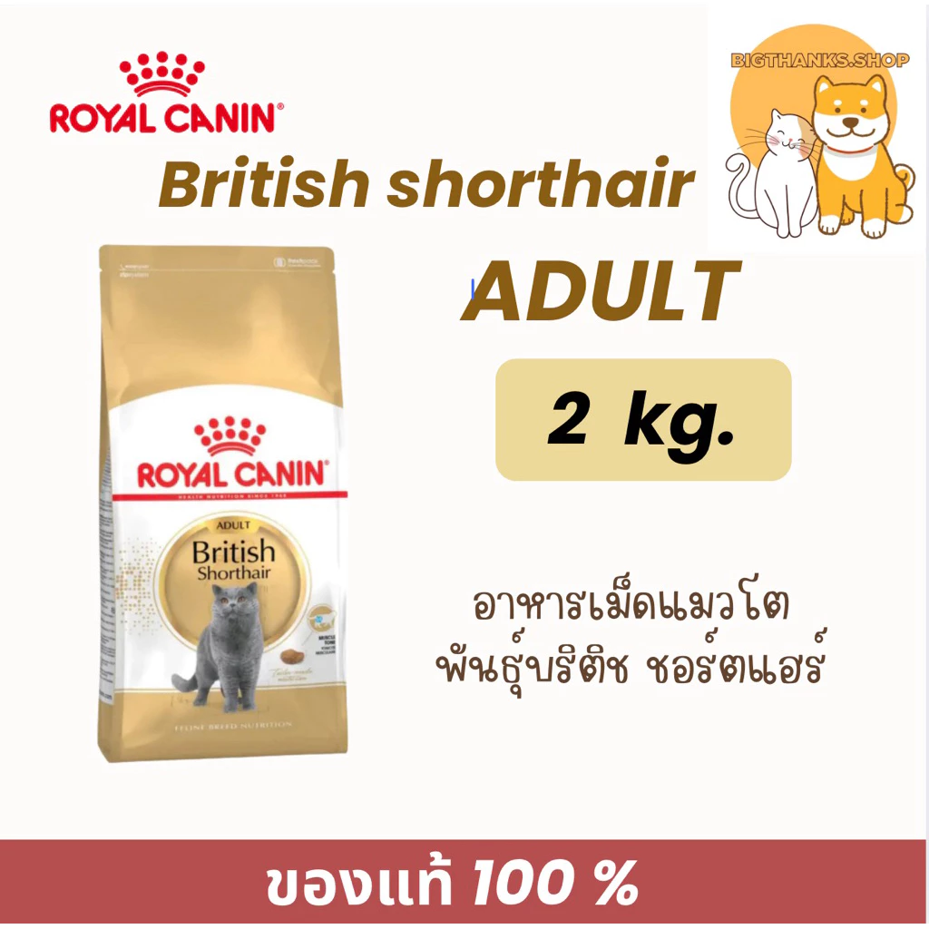 Royal canin Adult british 2 kg. อาหารเม็ด exp 07/27 สำหรับแมวโตพันธุ์บริติช ชอร์ตแฮร์ อายุ 1 ปีขึ้นไป