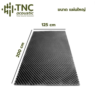 (ผลิตไทย) แผ่นซับเสียง **ไม่ลามไฟ ** ใหญ่ 125x200 ซม. หนา 1-2 นิ้ว (จาก TNC Acoustic)