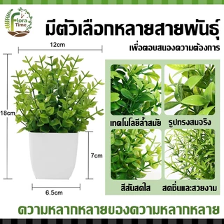 บอนไซเทียม ไม้ประดับ ดีไซน์โมเดิร์น ขนาดเล็ก สําหรับตกแต่งบ้าน สวน โต๊ะรับประทานอาหาร ห้องนอน