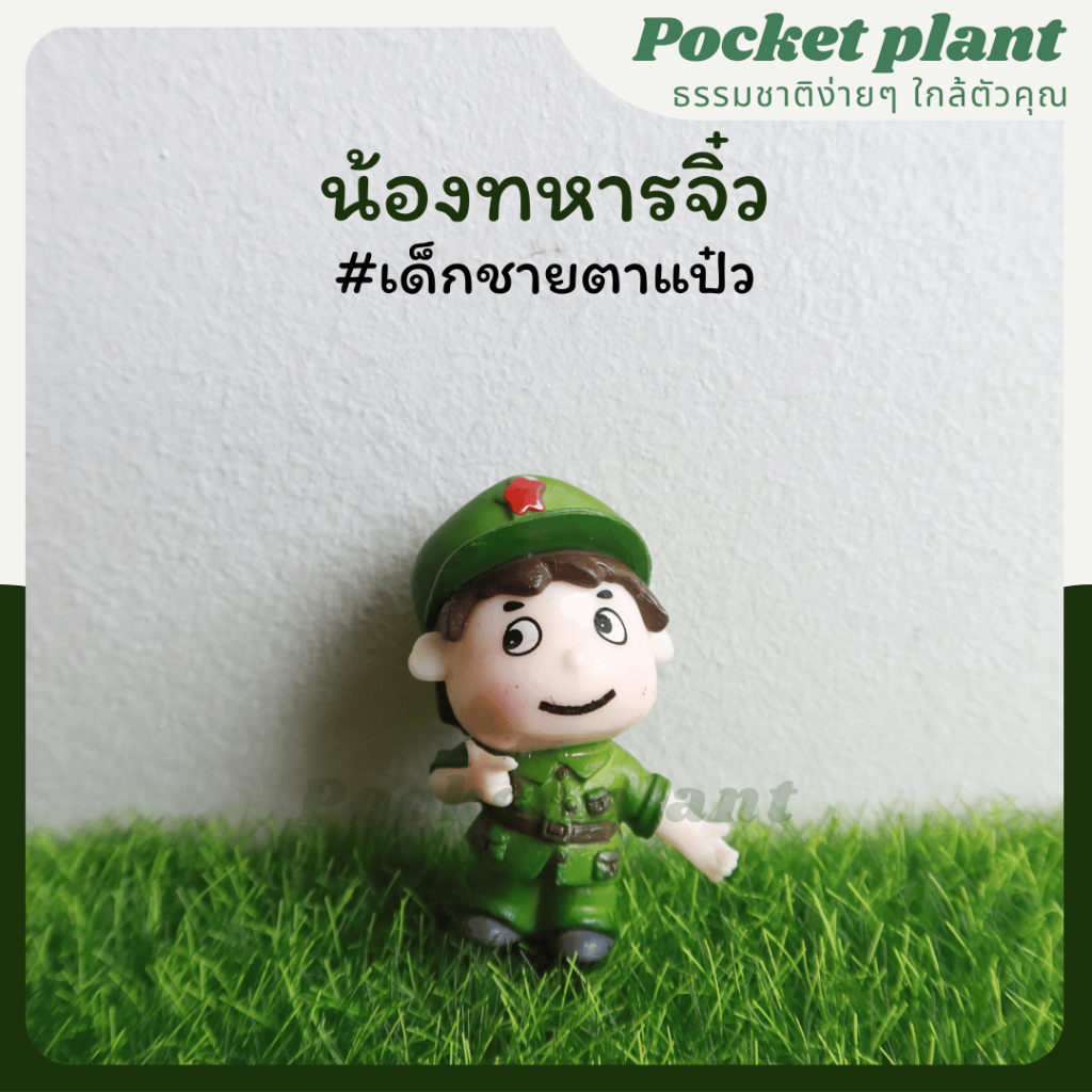 มุมมอง 6