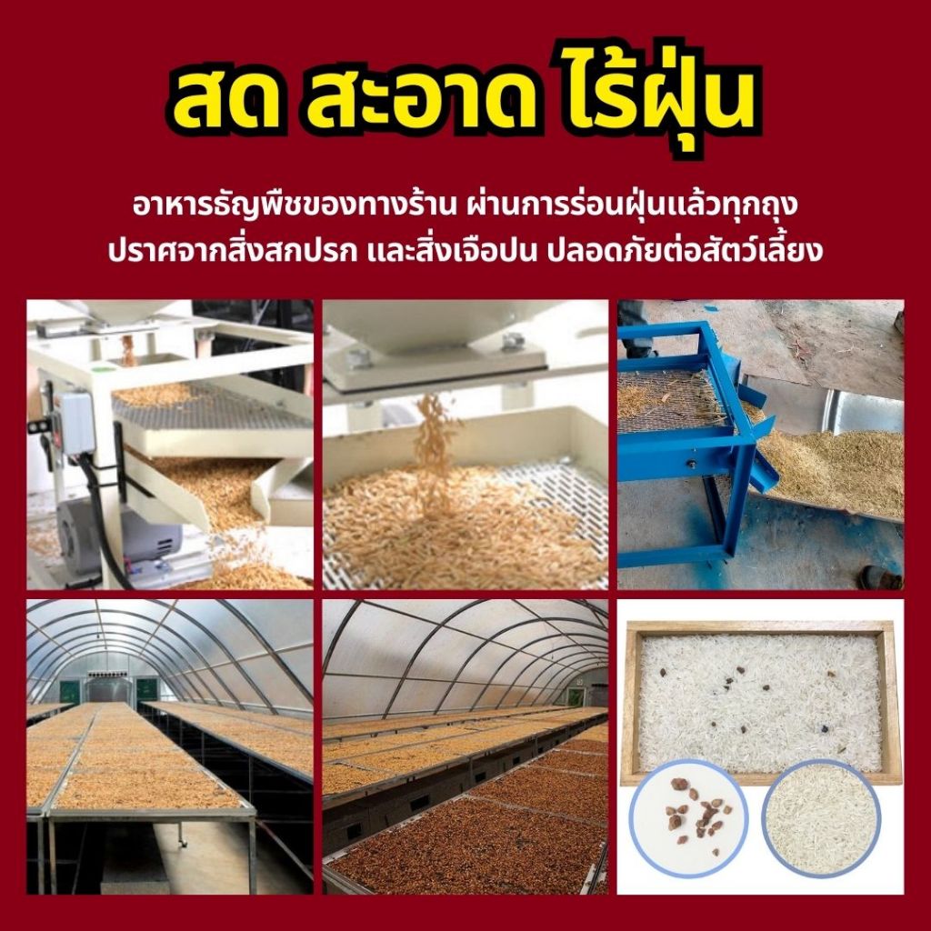 รูปภาพ 4