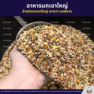 อาหารนกเขาใหญ่ เขาชวา เขาแขก นกพิราบ สะอาด ร่อนฝุ่นทุกถุง (แบ่งขาย 500G / 1KG)
