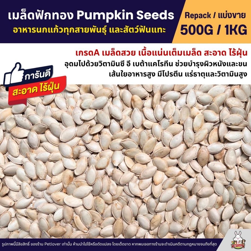 เมล็ดฟักทอง Pumpkin Seeds เกรดA อาหารนกแก้ว หนูแฮมสเตอร์ และสัตว์ฟันแทะ (แบ่งขาย 500G / 1KG)