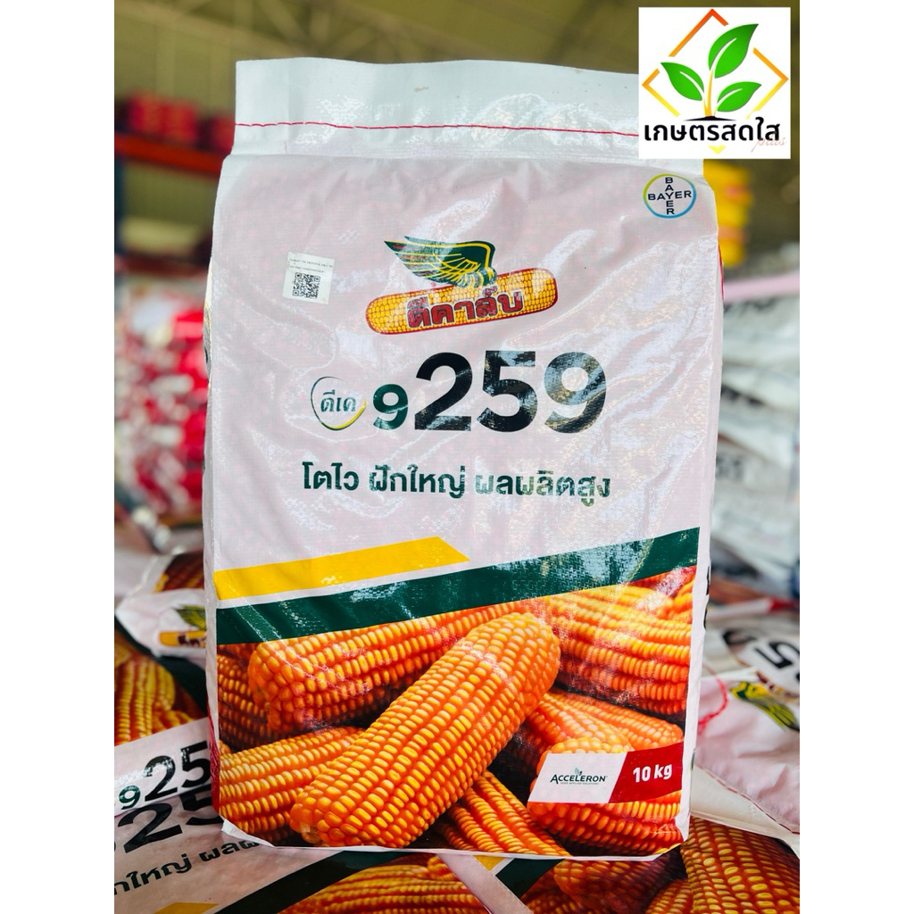ข้าวโพดดีคาล์บ 9259 (3.5 หุน) *ขนาด 10 กก. ฝักสวย ระบบรากแข็งแรง