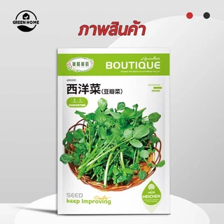 800 เมล็ดเมล็ดพันธุ์วอเตอร์เครส เมล็ดวอเตอร์เครส (Watercress) ผักสลัด มากวิตามิน โตไว ทานสดได้