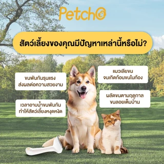 Petcho หวีแปรงขนสัตว์เลี้ยง หวีแมว หวีสุนัข กำจัดขนหลุดร่วงอย่างมีประสิทธิภาพ ซี่หวีปลอดภัย