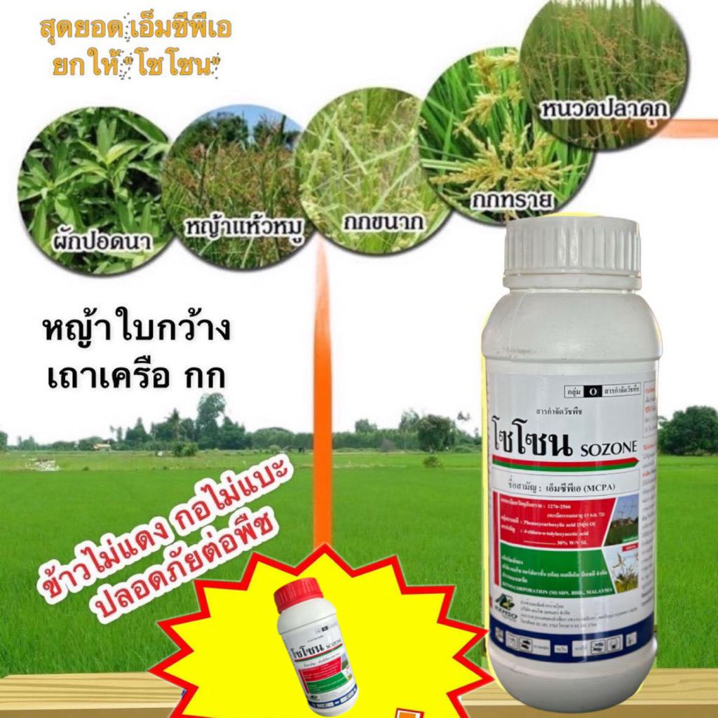 โซโซน1ลิตร(เอ็มซีพีเอ) มือปราบกก หนวดปลาดุก แห้วหมู