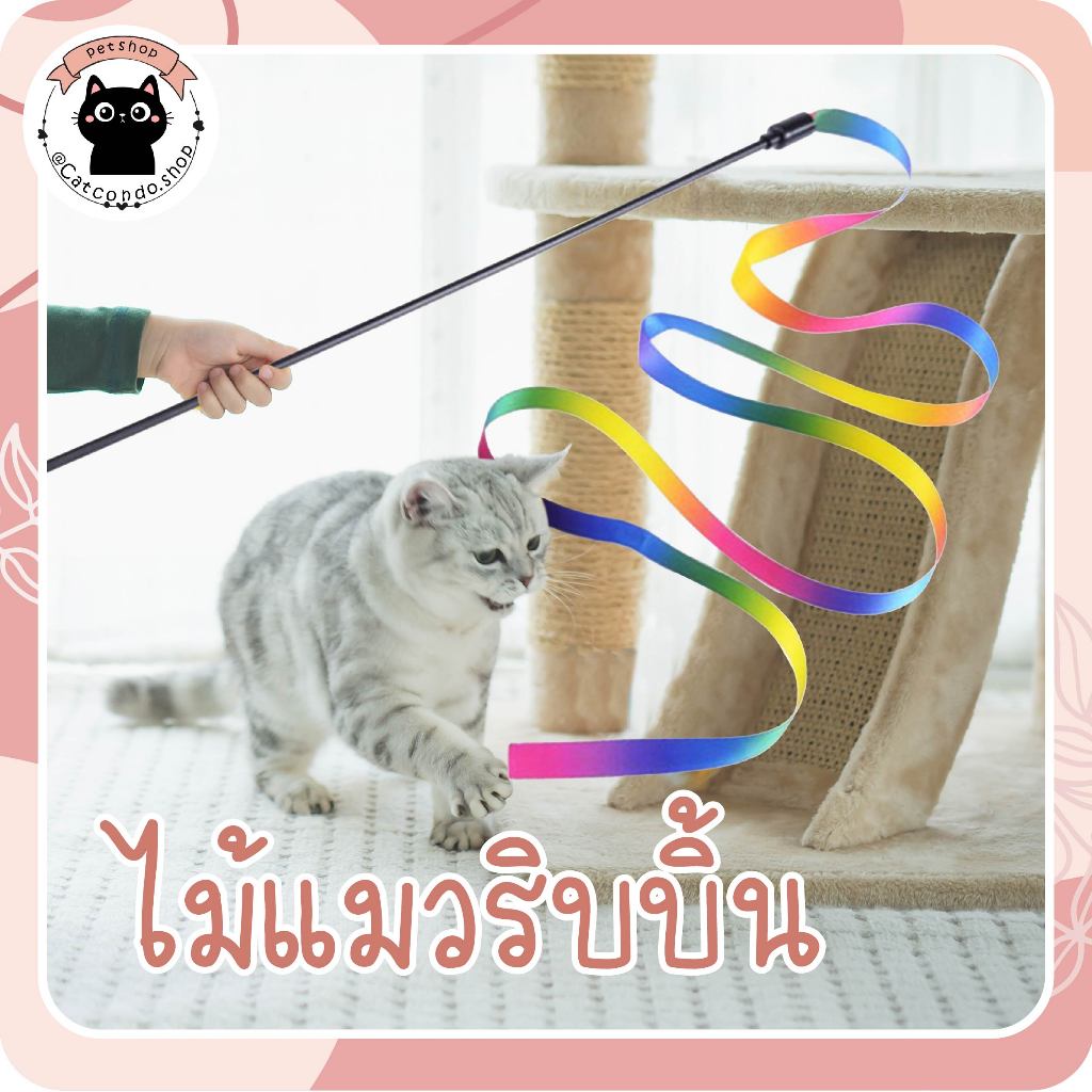 🌵 ของเล่นแมว ไม้ตกแมว ไม้ตกแมวแบบสปริง ไม้แหย่แมว ขนนกแมว ขนไก่แมว ไม้ริบบิ้น 🌵