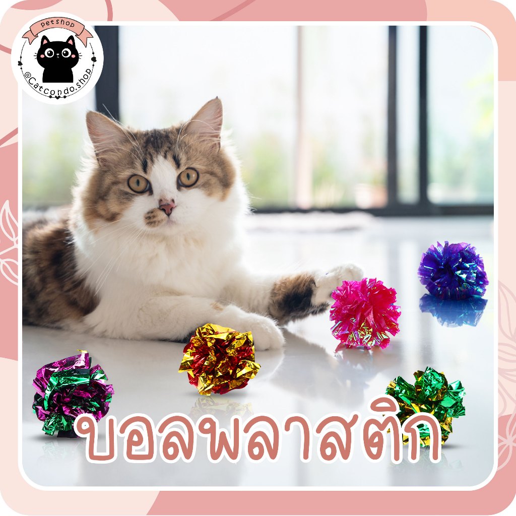 🐈‍⬛บอลพลาสติก ของเล่นแมว ลูกบอล จากธรรมธาติ ขนาดเส้นผ่านศูนย์กลาง 4.5 ซม. ลูกบอลกลิ้ง ของเล่นแมว🐈‍⬛