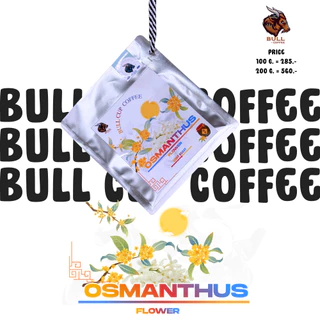 เมล็ดกาแฟคั่วอ่อน Colombia Specialty Coffee ''หมักดอกหอมหมื่นลี้ Osmanthus''