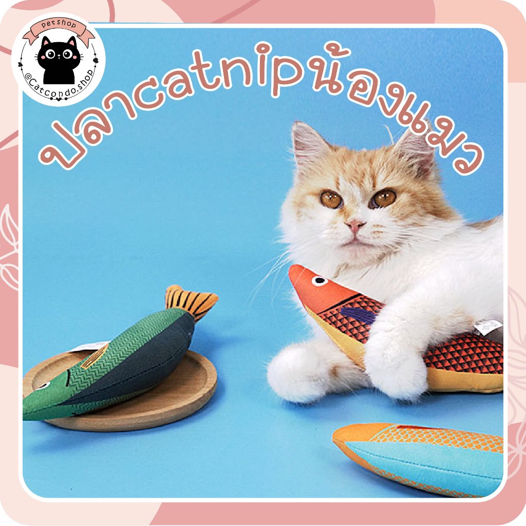🌵 ปลาcatnip  ของเล่นแมว ปลาแมว ของเล่นcatnip ขนาดใหญ่ catnip ปลาของเล่น ปลาแมว 🌵