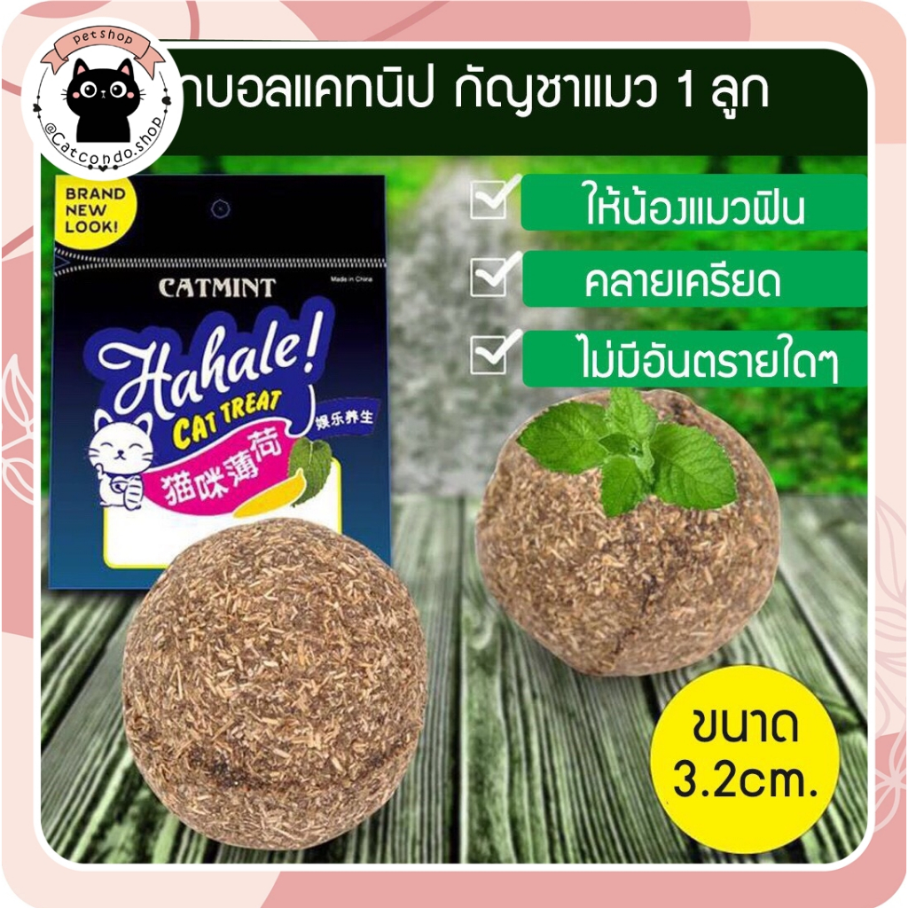 🌵 catnipบอล ลูกบอลแมว แคทนิปบอล Catnip Ball กัญชาแมว ขนมแมว ของเล่นแมวเลีย แปะกำแพง ball herb 🌵