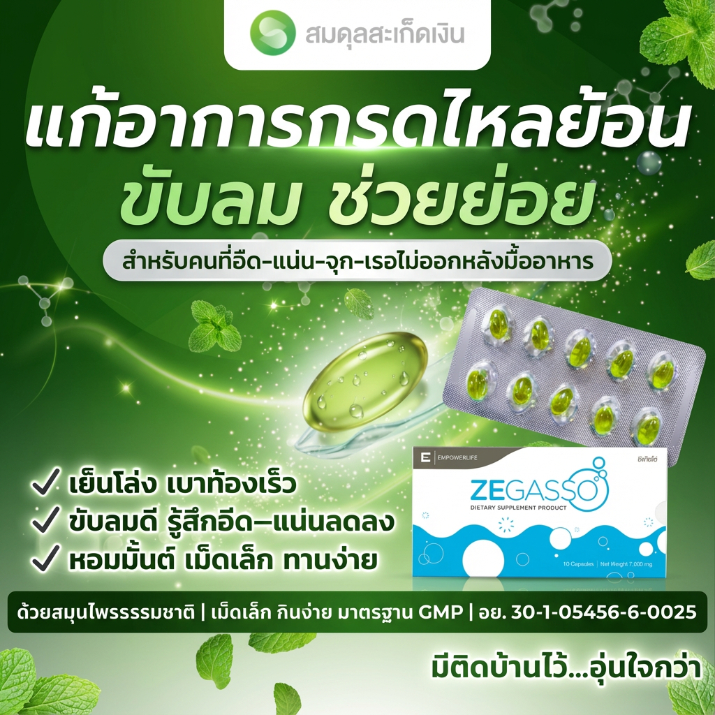 Ze-Gasso สมุนไพรช่วยย่อยอาหาร ลดอืด จุก เสียด แน่นเฟ้อ | ขับลมหลังอาหาร | 1 แผง (10 เม็ด)