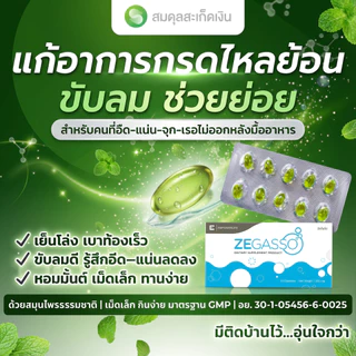 Ze-Gasso สมุนไพรช่วยย่อยอาหาร ลดอืด จุก เสียด แน่นเฟ้อ | ขับลมหลังอาหาร | 1 แผง (10 เม็ด)