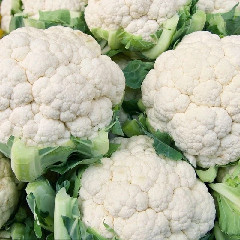 Cauliflower Seeds for planting 200เมล็ด/ซอง เมล็ดพันธุ์ กะหล่ำดอก กะหล่ำดอก ถูกที่สุด เมล็ด Vegetable Seeds