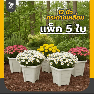 [แบบแพ็ค] กระถางเหลี่ยม 12 นิ้ว แพ็ค 5 ใบ แพ็ค 3 ใบ ดีไซน์สวยมินิมอล เหมาะกับการจัดสวน กระถางกุหลาบ