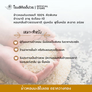 [14กก] ข้าวหอมมะลิใบเตย กวางทอง สายพันธุ์พื้นเมืองนครสวรรค์ พรีเมี่ยม100% หอม นุ่มนิ่ม กลิ่นใบเตย