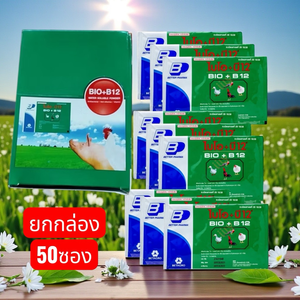 อาหารนก ไก่ กล่องสีเขียว B12 เบทาโกร ขนาด20กรัม ยกกล่อง50ซอง