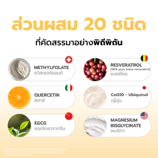 LIVMORE CORE+ MethylFolate ชะลอวัย อาหารลดอักเสบ มี เมทิลโฟเลต, วิตามินบี12, วิตามินบีรวม, CoQ10, Quercetinและอีก 20