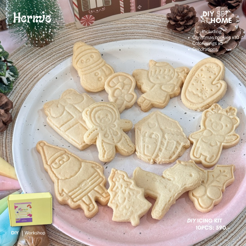 DIY KIT : Icing Cookies