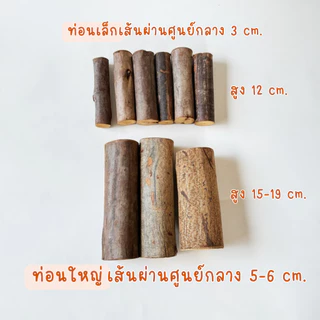 Prosco | แผ่นไม้และท่อนไม้แห้ง ธรรมชาติ สำหรับตกแต่ง วางสินค้า พร็อพถ่ายรูป คริสมาส