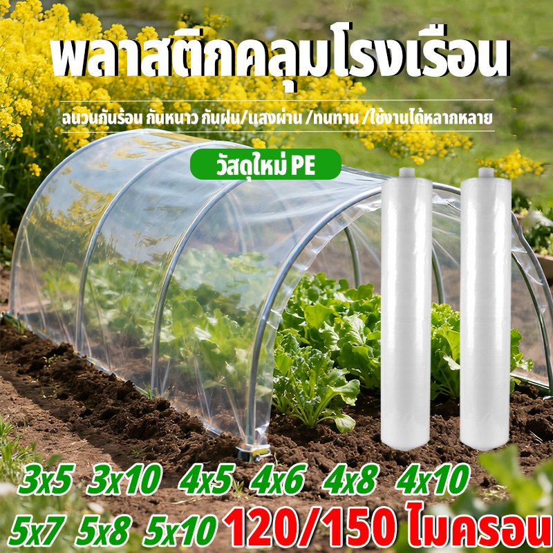 พลาสติกโรงเรือน พลาสติกใส พลาสติกPE หนา 150 ไมครอน โรงเรือน โรงเรือนเพาะชำ พลาสติกคลุมโรงเรือน พลาสต
