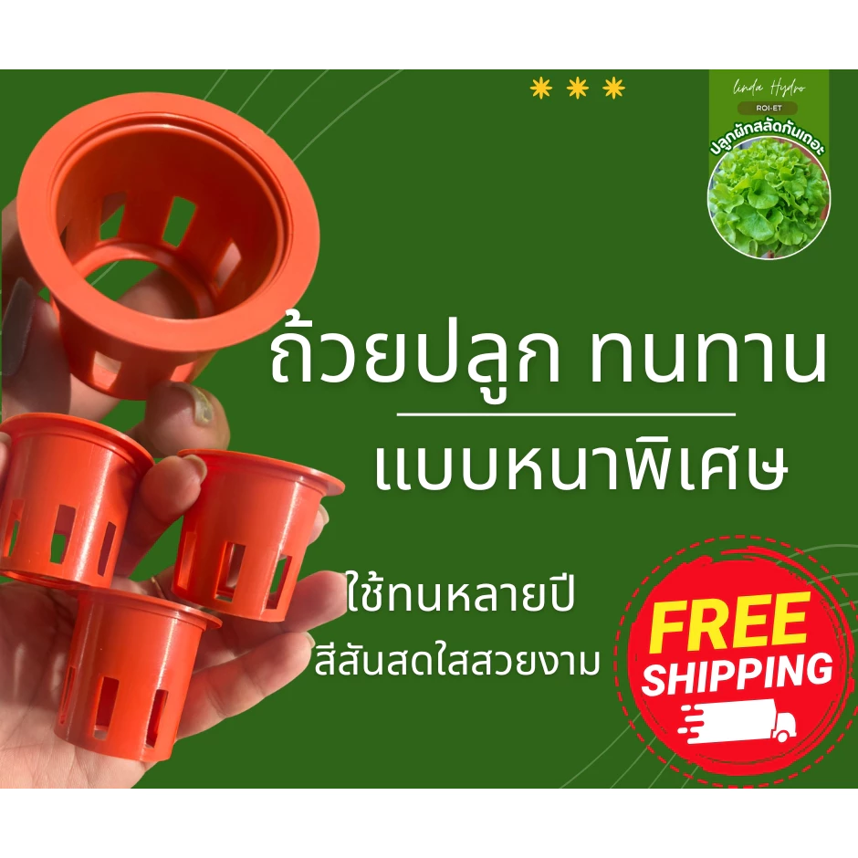ถ้วยปลูกผัก หนาพิเศษ ถ้วยปลูกไฮโดรโปนิกส์ แบบหนา