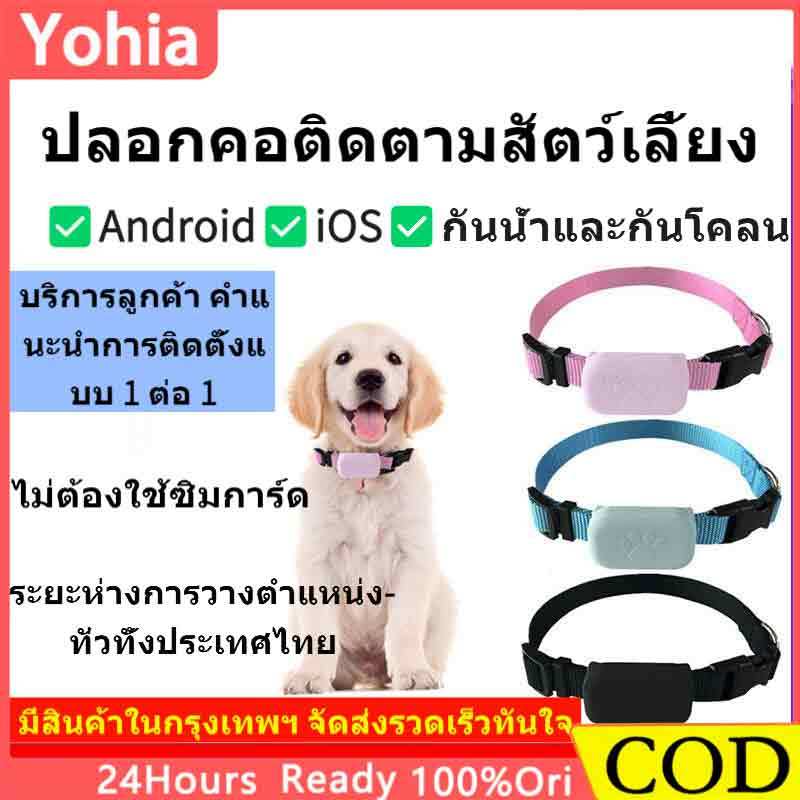 gps สัตว์เลี้ยง ติดตามแมวสุนัข ปลอกคอแ | gps สัตว์เลี้ยงonly ios | ฝึกน้ำและป้องกันดิน | |ไม่ต้องใช้ SIM คาด|การระบุ