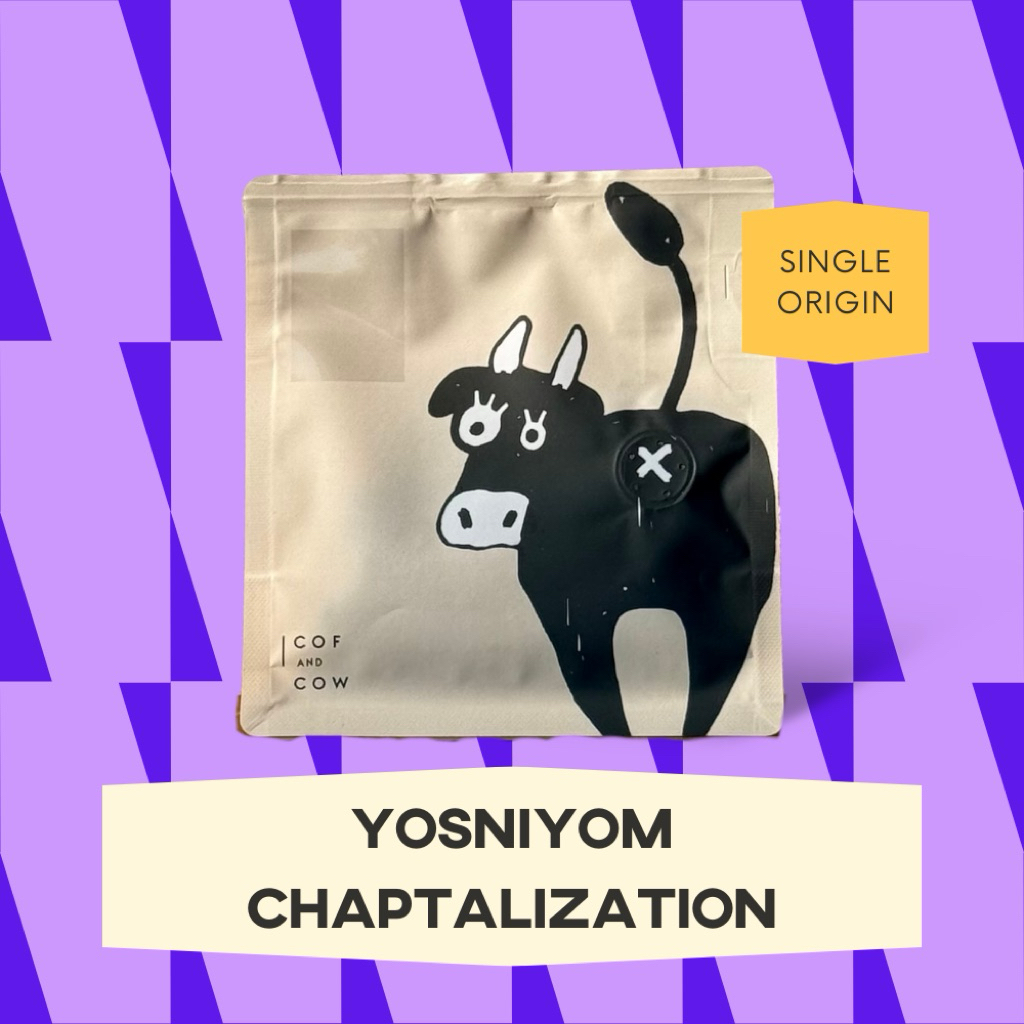 เมล็ดกาแฟ Yosniyom Chiang Mai Chaptalization