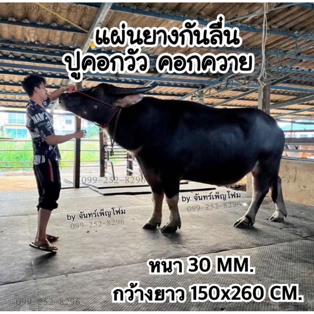 แผ่นยางevaปูคอกวัว หนา 30 MM ลาย 2 ด้าน ขนาด 150x260 CM สีดำลายไบเก้น