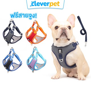 [ส่งฟรี🇹🇭] Duomm สายรัดสุนัข ระบายความร้อน สำหรับหมาและแมว D…