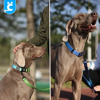 [ส่งฟรี🇹🇭] Everking ปลอกคอสุนัข สายจูงสุนัข ปลอกคอสัตว์เลี้ยง พรีเมี่ยม Dog Collar CleverPet