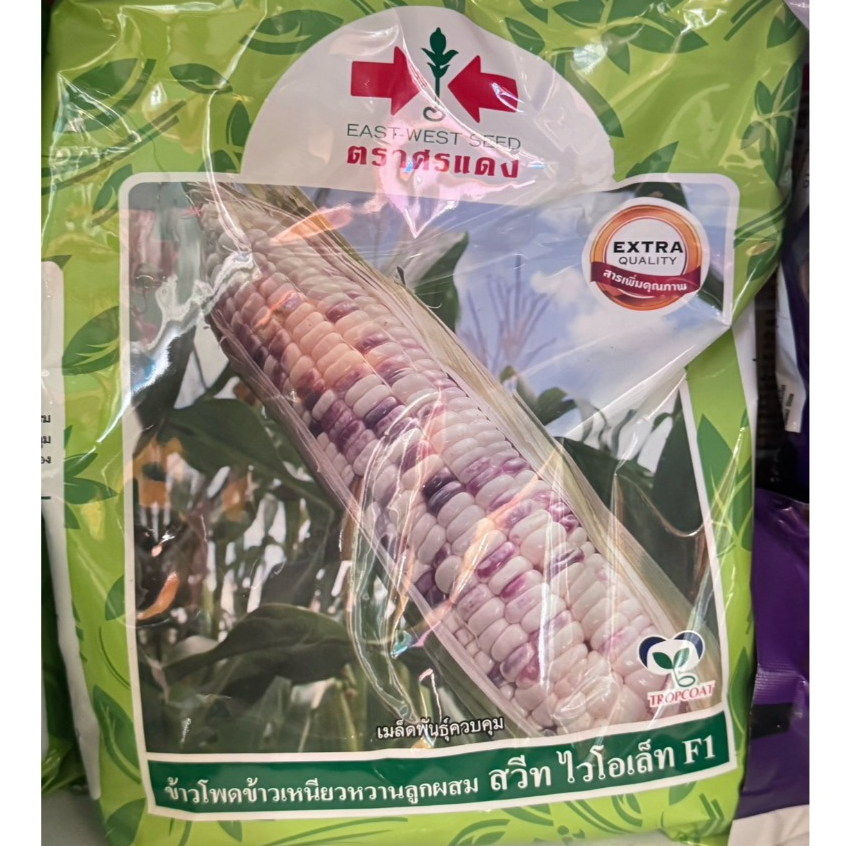 ข้าวโพดข้าวเหนียวหวานลูกผสม สวีทไวโอเล็ท (ขาว ม่วง) ตราศรแดง