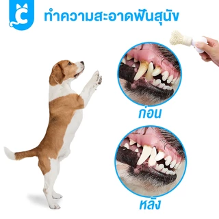 [ส่งฟรี🇹🇭] CleverPet กระดูกสุนัข ขัดฟัน ของเล่นหมา ใส่ยาสีฟัน ใส่ขนมได้ กระดูกแปรงฟัน Dog Bone