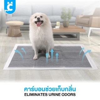 [ส่งฟรี🇹🇭] CleverPet แผ่นรองฉี่ชาโคล สุนัข แผ่นรองฉี่แมว ซึมดี เก็บกลิ่น Dog Training Pad