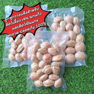 ลูกหูกวางสดตากแห้งธรรมชาติ พร้อมอบฆ่าเชื้อ อาหารนกและกระรอกส…