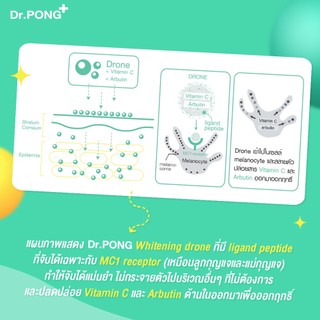 Dr.PONG 28H Whitening drone acne clear spot gel Niacinamide ZincPCA BHA เจลแต้มสิว สำหรับผิวแพ้ง่าย
