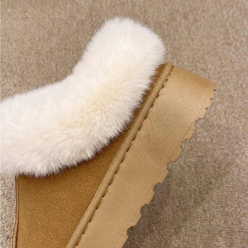 รูปภาพ 5