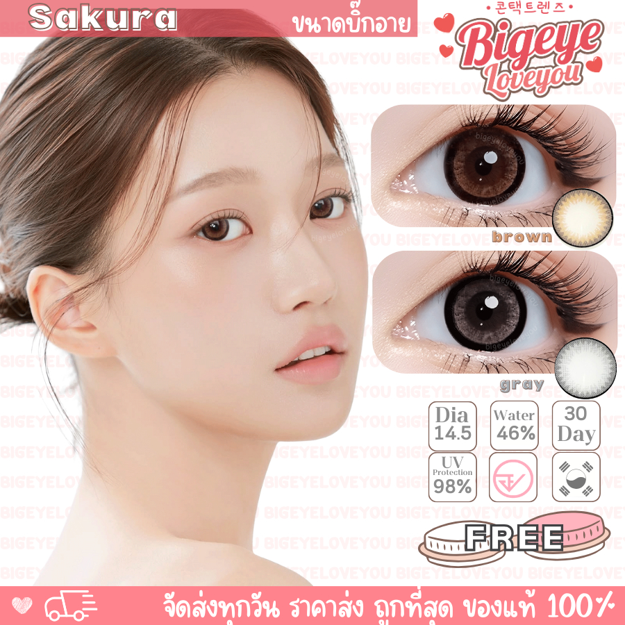 คอนแทคเลนส์🌈Sakura🌈 Chestnut / Gray (Wink) ขนาดบิ๊กอาย💖ขายดี🍭