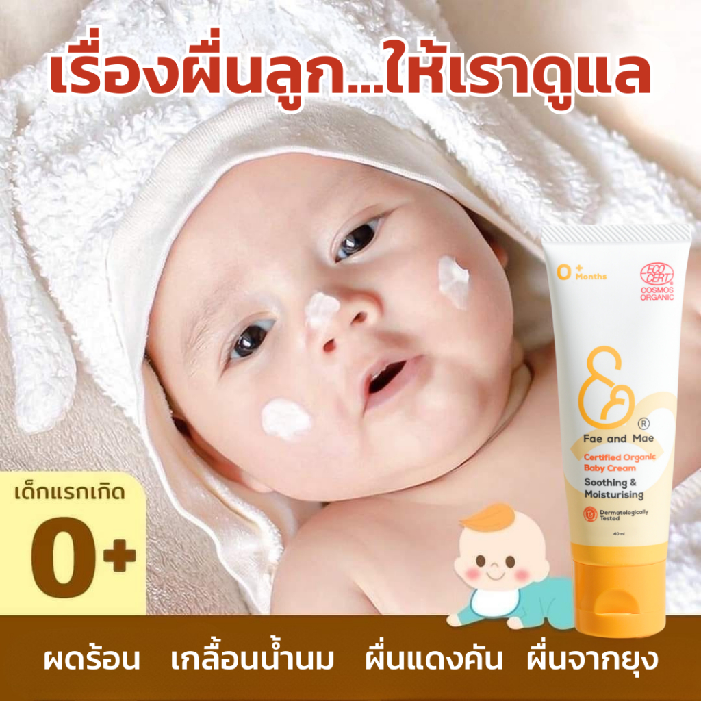 รูปภาพ 8