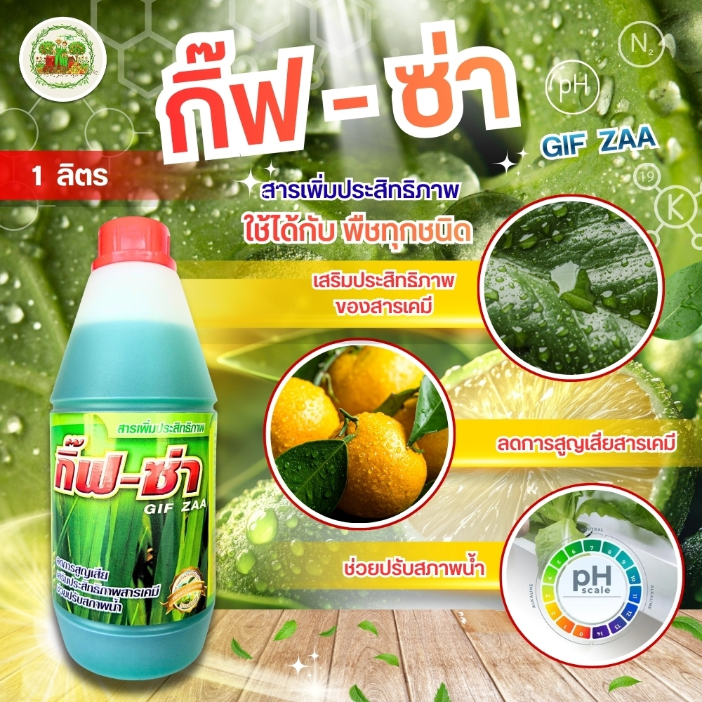 สารจับใบเข้มข้น กิ๊ฟซ่า 1 ลิตร ช่วยเปิดปากใบพืชเพิ่มการยึดเกาะ ทำให้น้ำยาแผ่กระจายทั่วทั้งใบ ลดการสูญเสียน้ำยาขณะพ่น