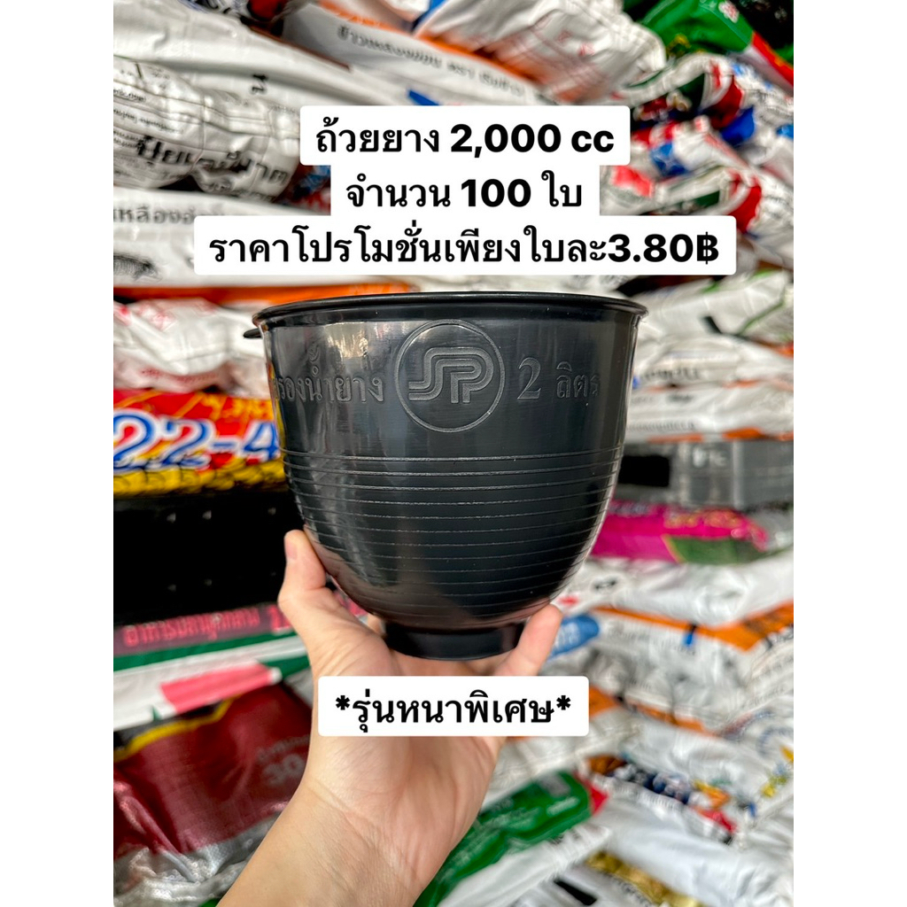 (รุ่นหูนอน)ถ้วยรองน้ำยางพารา ขนาด 2,000cc จำนวน 100ใบ ผลิตด้วยพลาสติกคุณภาพดี เหนียว ทนต่อการใช้งาน ราคาถูกที่สุด