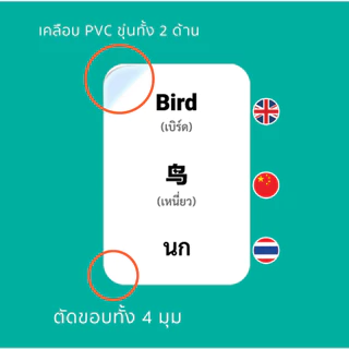Mornington Flashcard ชุดแฟลชการ์ด การ์ดคำศัพท์ บัตรคำ 3 ภาษา เสริมพัฒนาการเด็ก / กล่อง
