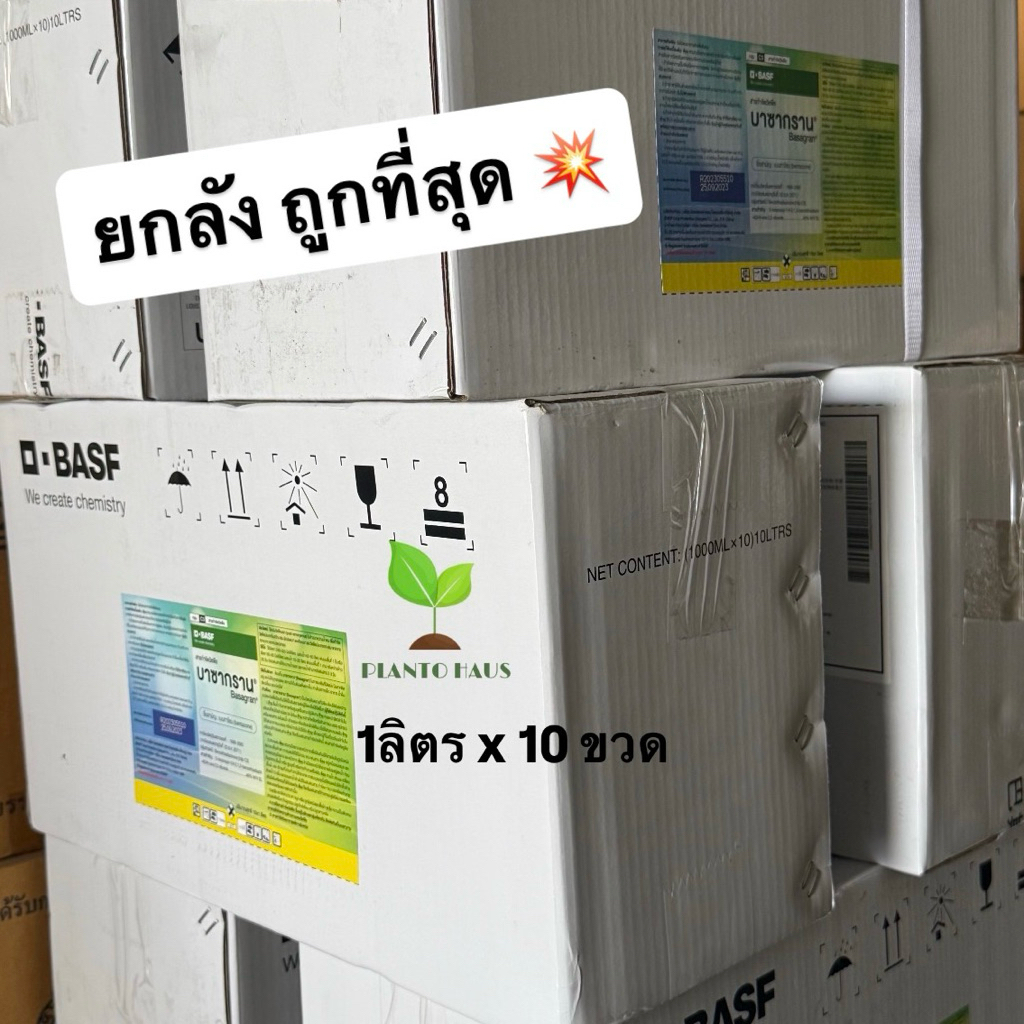 (ยกลัง 10ขวด) บาซากราน BASF เบนทาโซน ผลิตใหม่ 2568 กำจัด หนวดปลาดุก กก 1 ลิตรx10ขวด