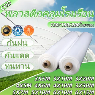 พลาสติกโรงเรือน พลาสติกใส พลาสติกPE หนา 200/120 ไมครอน โรงเรือน โรงเรือนเพาะชำ พลาสติกคลุมโรงเรือน พลาสติกใสโรงเรือน