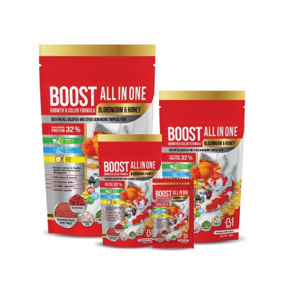 BOOST ALL IN ONE Bloodworm & Honey อาหารปลาผสมหนอนแดงและน้ำผึ้ง (เม็ดลอย) สำหรับปลาสวยงามทุกประเภท